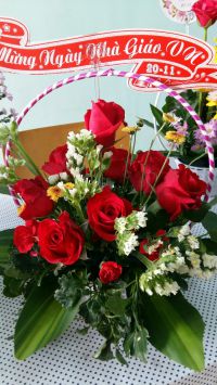 Lop4