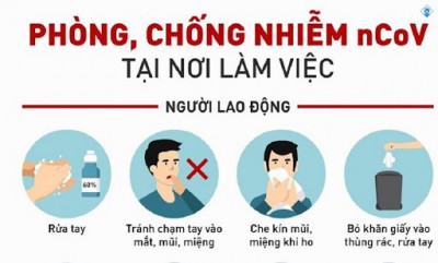Hướng dẫn phòng chống dịch bệnh COVID-19 cho người lao động tại nơi làm việc, trường Tiểu học và THCS