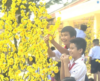 HOẠT ĐỘNG TRẢI NGHIỆM "TRANG TRÍ CÂY MAI NGÀY TẾT" CHÀO ĐÓN XUÂN GIÁP THÌN 2024